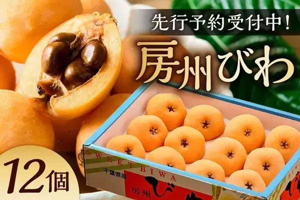「「これでもかと思うぐらい大きい」「口いっぱいに頬張れて、幸せ」　ふるさとチョイスで人気の【枇杷】トップ5」の画像