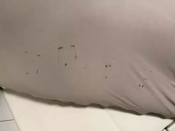 イヤイヤ期真っ盛りの2歳児がハマった行動に8.4万人爆笑　「最高www」「後世に残そう」