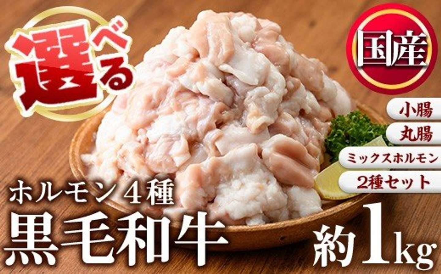 「ホルモンが苦手」な人にも好評の逸品から、〝上級者向け〟まで　ふるさとチョイスで人気の【牛ホルモン】5選