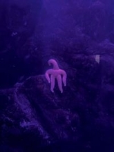 「だいぶ怖い」「これ何？？」　新潟の水族館にいる〝謎の生命体〟に3.9万人戦慄