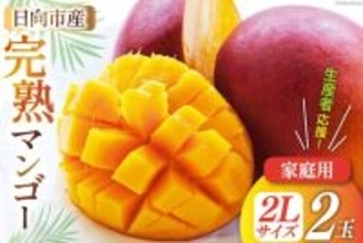 「ジューシーでとろける」「甘くて想像以上に大きい」　ふるさとチョイスで人気の【マンゴー】トップ5