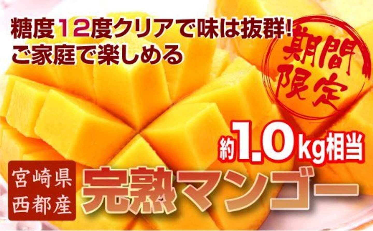 「ジューシーでとろける」「甘くて想像以上に大きい」　ふるさとチョイスで人気の【マンゴー】トップ5