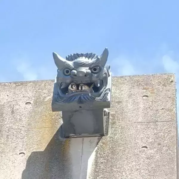 「どこかからスズメの鳴き声が聞こえる」→あたりを見回すと...　まさかの〝居場所〟に4.1万人驚がく