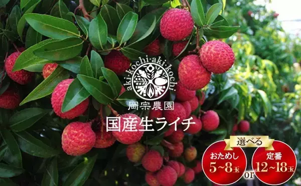 「一度は食べてみたくない？　アテモヤ、蟠桃、やまもも...ふるさとチョイスで選べる〝激レア果物〟5選」の画像