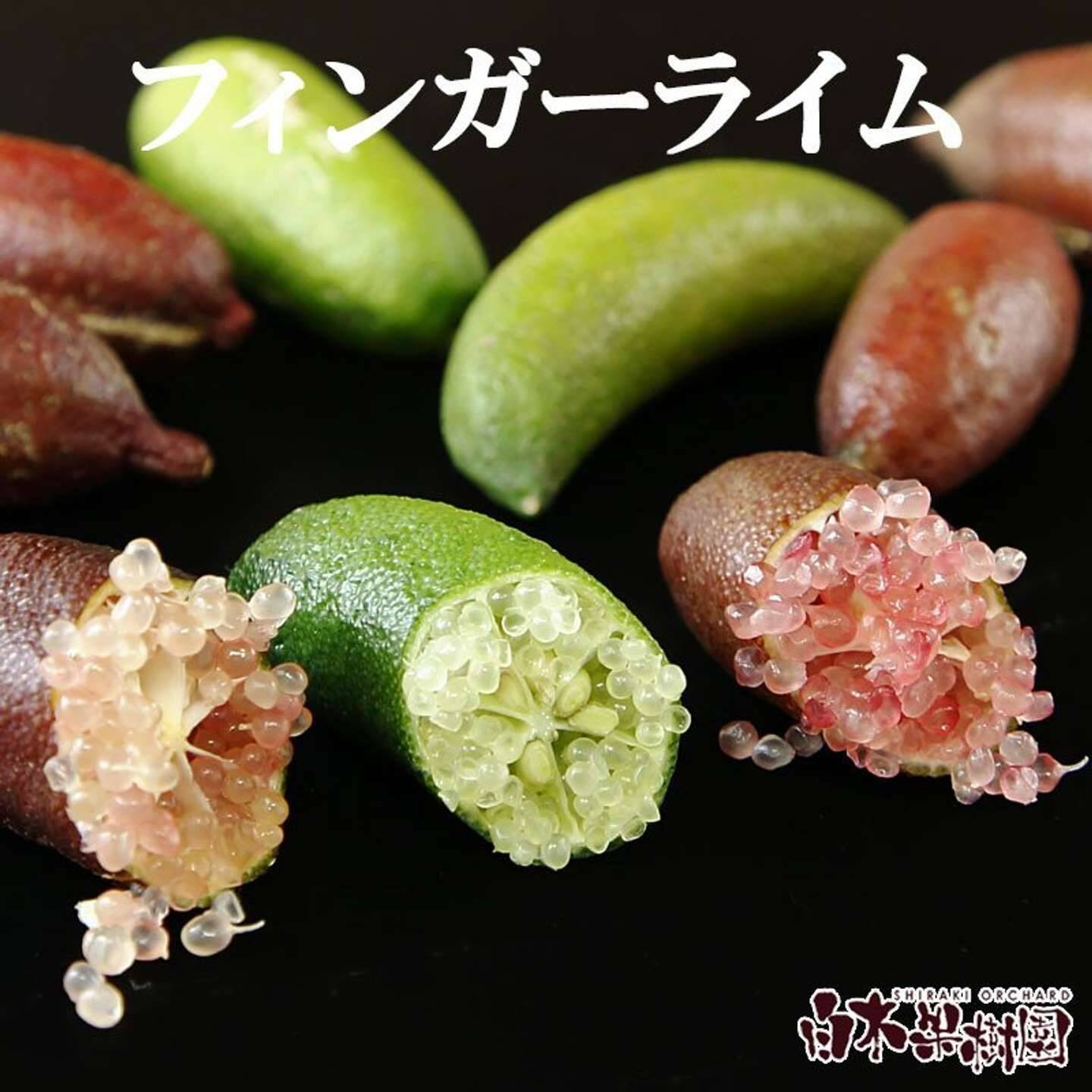 一度は食べてみたくない？　アテモヤ、蟠桃、やまもも...ふるさとチョイスで選べる〝激レア果物〟5選