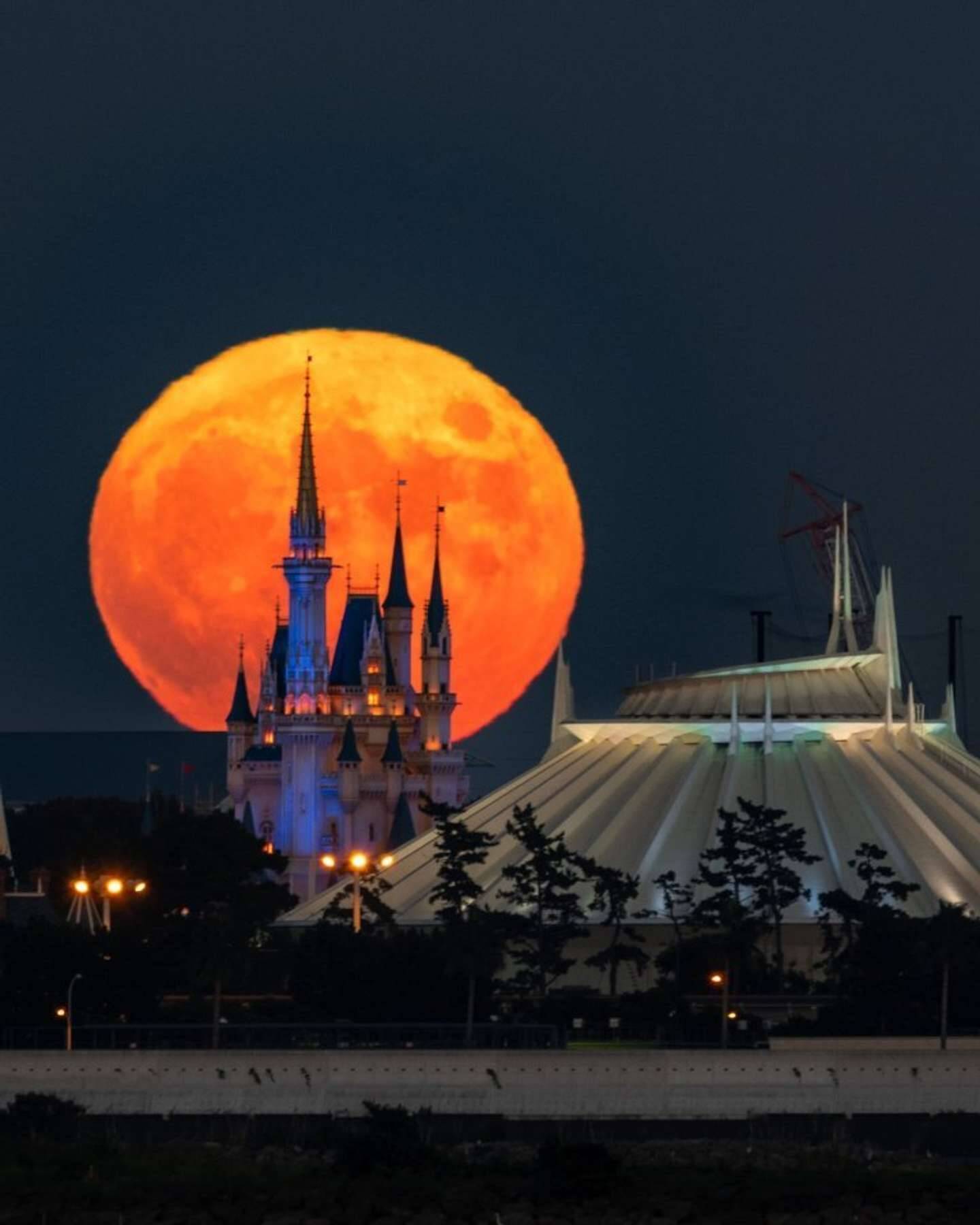 まさにディズニー映画みたい 中秋の名月の中に浮かぶシンデレラ城が 最高にファンタジー 22年9月14日 エキサイトニュース まさにディズニー映画みたい 中秋の名月の中に浮かぶシンデレラ城が 最高にファンタジー 22年9月14日 エキサイトニュース