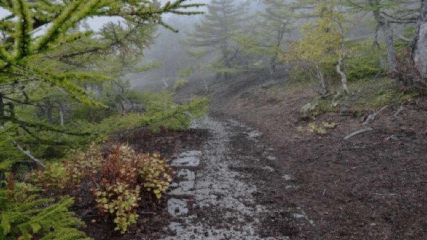 「結婚3年目の記念に夫と二人で富士登山。体力に自信のない私は、下山中に足が痛くなり...」（愛知県・30代女性）