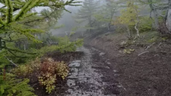 「「結婚3年目の記念に夫と二人で富士登山。体力に自信のない私は、下山中に足が痛くなり...」（愛知県・30代女性）」の画像