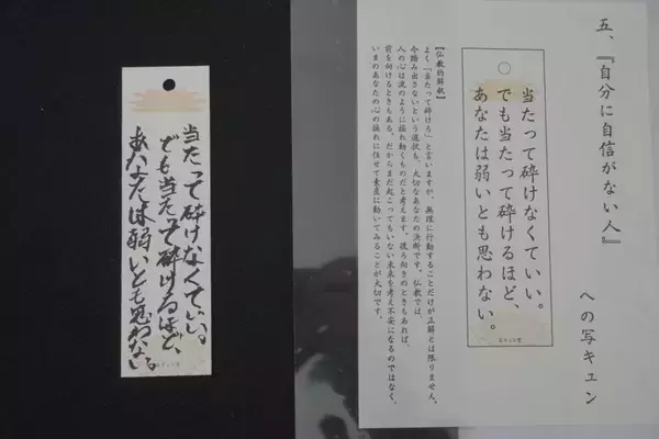 「アフロ仏に〝ギャル尼僧〟まで！？　色んなお坊さんに恋愛相談できる「恋バナ縁日」に行ってみた」の画像