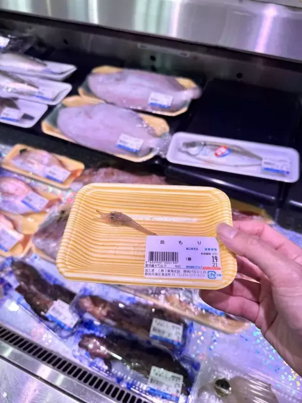「静岡の鮮魚店で売られてた〝謎の魚〟に2万人驚がく　まさかの19円で...「何コレ」「利益でてるんか？」」の画像