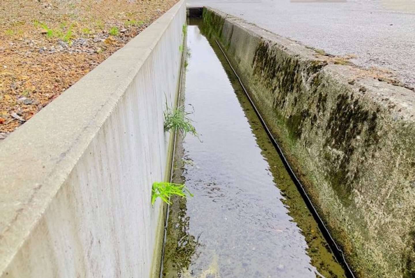 キラキラ光る水面を 水の中から見ていた2歳のわたし もしあの時 大きな手 が現れなかったら 岡山県 40代女性 22年2月2日 エキサイトニュース