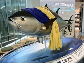 大阪で見られる、もう一つの「真珠の耳飾りの○○」　6.4万人が驚がくしたその姿