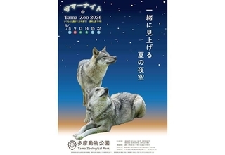 昼間とは違う姿が見られるかも！　この夏行きたい、東京・横浜の〝ナイト動物園〟3選
