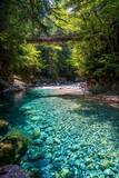 「究極に澄み切ったエメラルドグリーンの流れが美しい　長野・阿寺渓谷の〝最強すぎる〟絶景が人気」の画像1