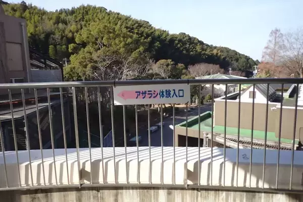 悲鳴を上げずにはいられない...！　2.1万人騒然の〝恐ろしすぎる展示〟は何故うまれた？日本平動物園に聞く