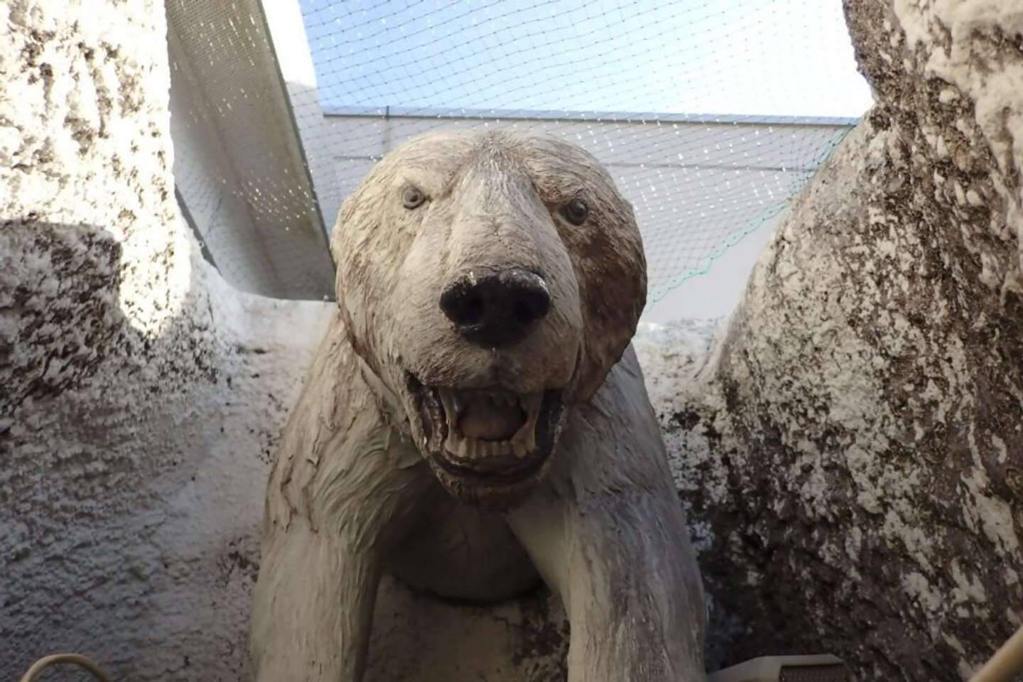 悲鳴を上げずにはいられない...！　2.1万人騒然の〝恐ろしすぎる展示〟は何故うまれた？日本平動物園に聞く