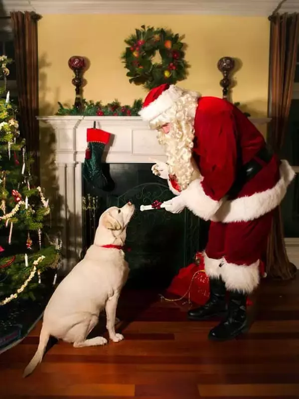 サンタさんから愛犬へ「よいワンちゃんの証明書」贈呈　栃木・那須高原のホテルで最高すぎるクリスマス企画