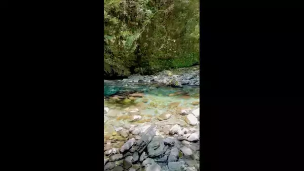 「透明度がレベチ」「まさに最高の避暑スポット！」　高知・仁淀川町の「水晶淵」で涼みたい