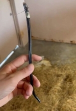 「ヒクイドリの部屋」から〝謎の棒〟発見される　黒くて硬くて...これは何？動物園に聞く