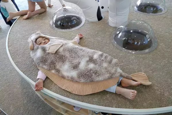 かわいい我が子がヒラメに変身！？　「アクアマリンふくしま」の生まれ変わった子供コーナーがめっちゃイイ