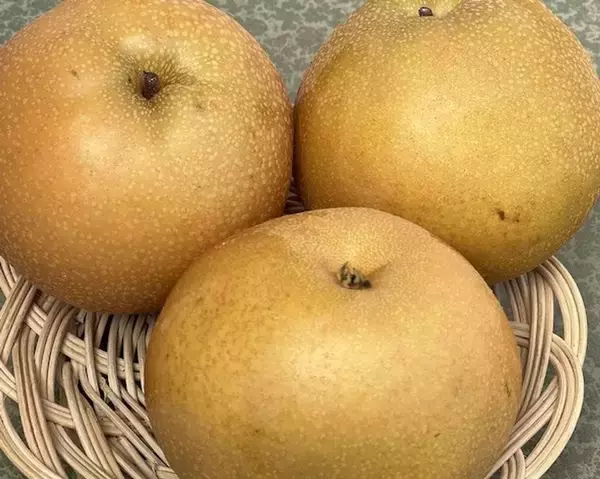 「シャクシャクの梨が〝じゅわじゅわデザート〟に変身　秋ならではの「薬膳」がめっちゃウマ」の画像