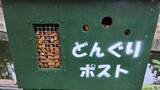 「「下を向いて歩く子供」日立市の動物園で増加中？　カワイイ〝理由〟に7.5万人感心「作った人頭良すぎ」」の画像1