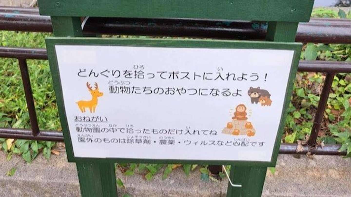「下を向いて歩く子供」日立市の動物園で増加中？　カワイイ〝理由〟に7.5万人感心「作った人頭良すぎ」