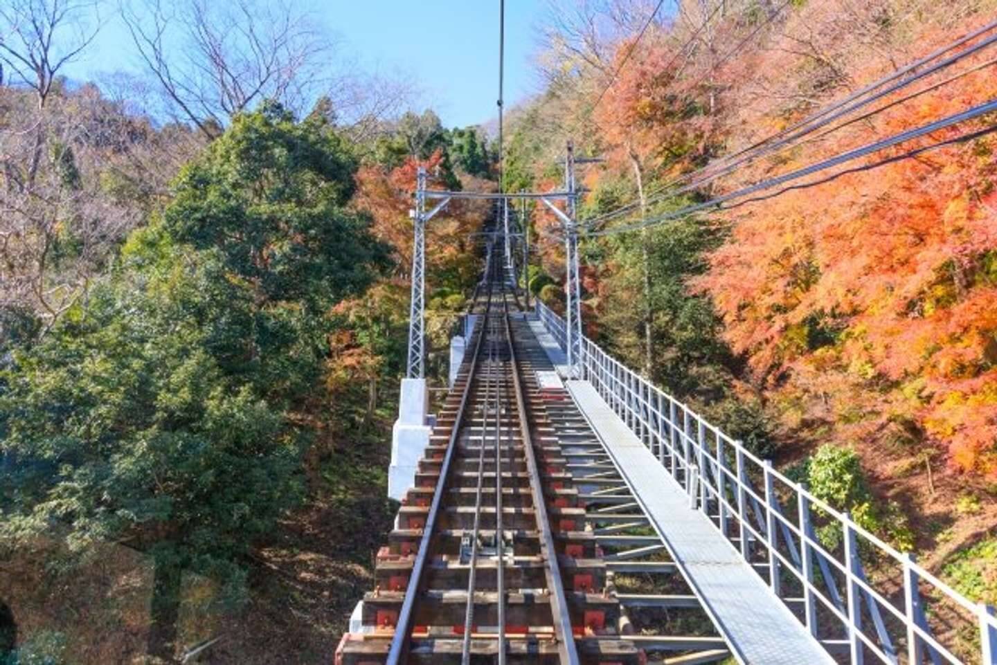 「躍動感よ」「こりゃ行きたくなっちゃうな」　高尾山ケーブルカーの〝記念パネル〟紹介写真に4万人破顔