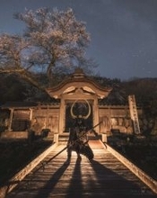 アクションゲームのワンシーン？いいえ、写真です　星と桜と甲冑侍...遺跡で撮影された「至高の一枚」に反響