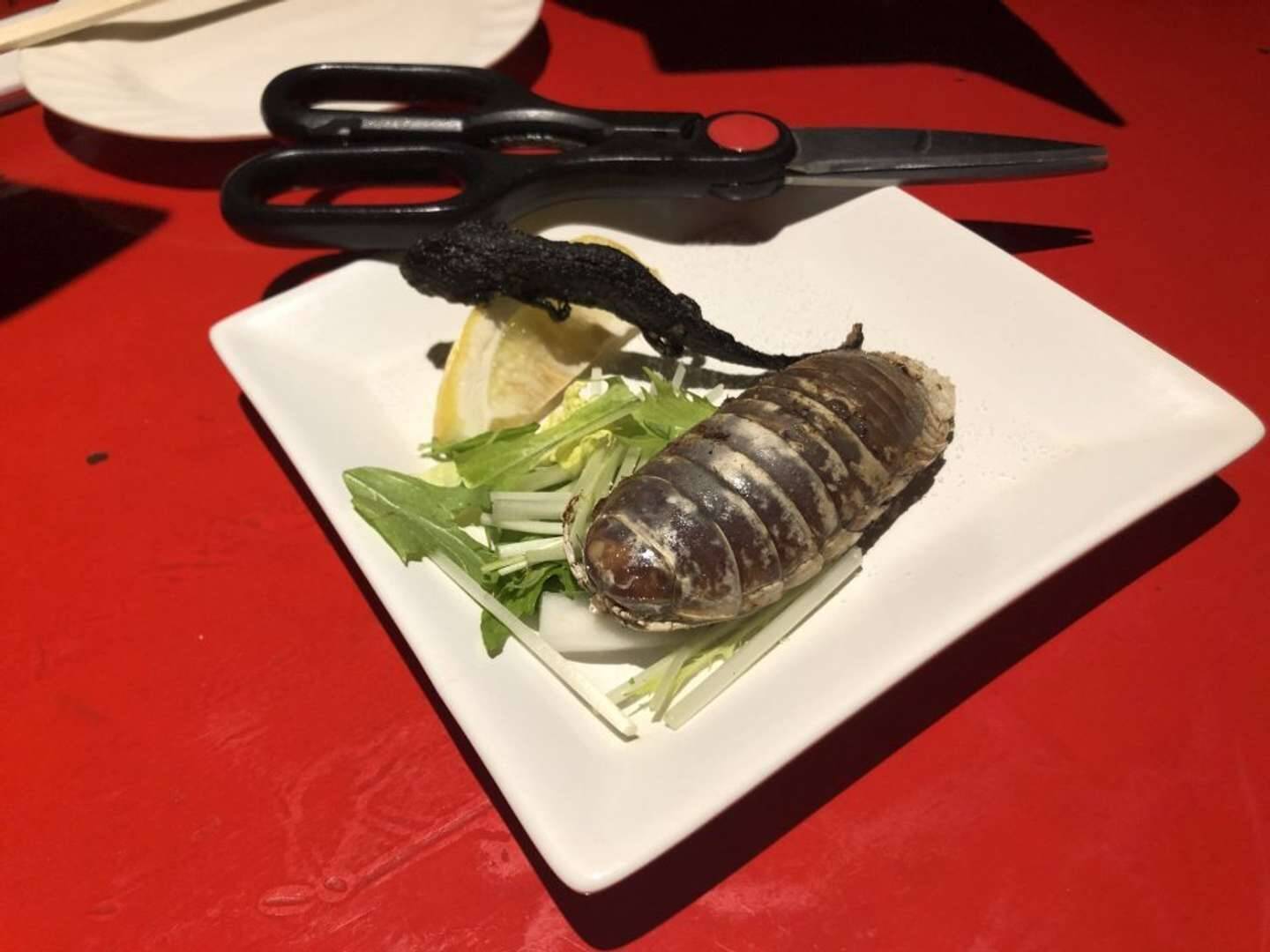 煮干しの中に紛れてた〝エイリアン〟に4.9万人注目「鳥肌が止まらん」「こんなの出てきたら泣き喚く」