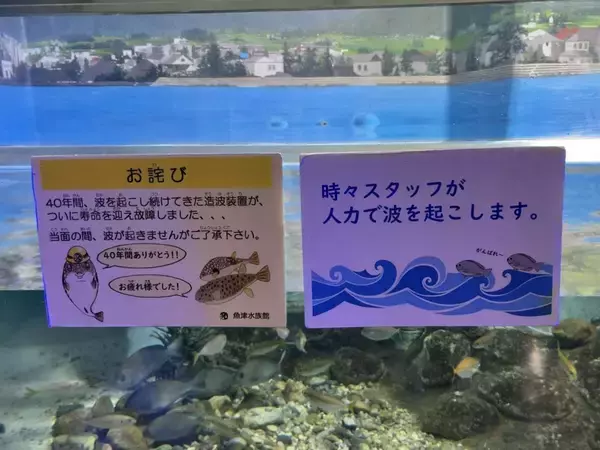 水族館に衝撃の掲示「時々スタッフが人力で波を起こします」　造波装置が故障したから...お魚たちも「がんばれ～」