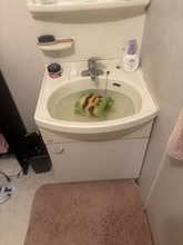 真夜中、洗面台の前に立ち...「思わず叫びました」　待ち受けていた〝恐怖の絵面〟に1.5万人驚がく