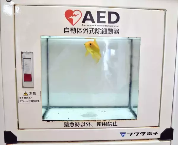 「僕の知ってるAEDとちょっと違うな」　高知・むろと廃校水族館の設備に10万人驚がく