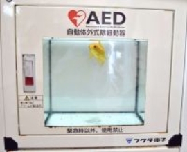 「僕の知ってるAEDとちょっと違うな」　高知・むろと廃校水族館の設備に10万人驚がく