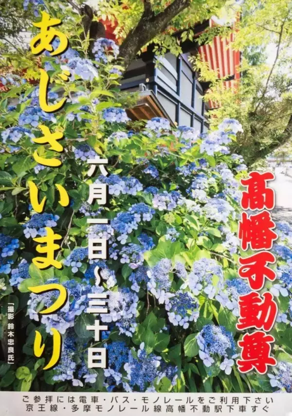 「今年は見逃した...」にはまだ早い！　6月後半も楽しめる東京都内のあじさいイベント3選