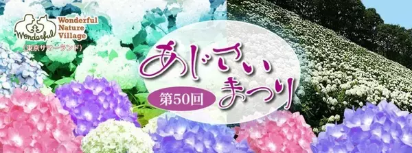 「「今年は見逃した...」にはまだ早い！　6月後半も楽しめる東京都内のあじさいイベント3選」の画像