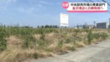 金沢市中央卸売市場の再整備が前進　青果部門移転先として金沢港の石川県工業用地　金沢市に譲渡へ