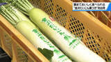 「葉まで美味しく食べられる”金沢だいこん葉つき”初出荷　おでんやシチューに…」の画像1