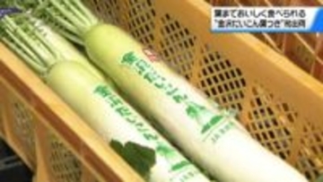葉まで美味しく食べられる”金沢だいこん葉つき”初出荷　おでんやシチューに…