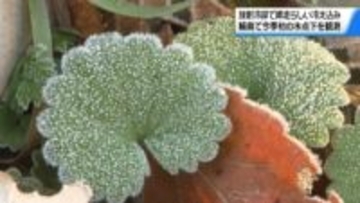 輪島で今季初の氷点下　石川は“師走らしい”冷え込みに　放射冷却の影響 各地で寒さ厳しく