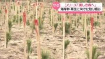 【シリーズ・美しき森へ】～ 暮らしを守る海岸林の再生 ～　“予防接種”で止める松くい虫被害