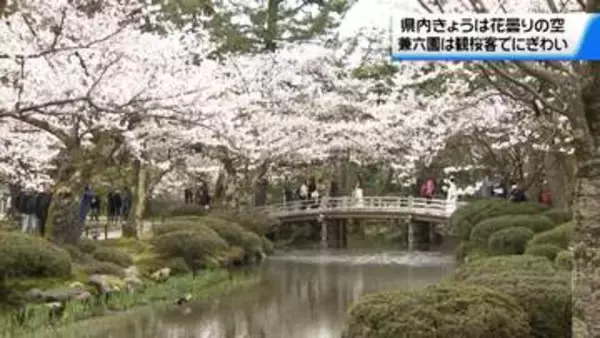 「4日の石川県内は花曇りも… 時折小雨も混じる兼六園には大勢の観桜客」の画像