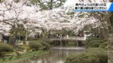 4日の石川県内は花曇りも… 時折小雨も混じる兼六園には大勢の観桜客