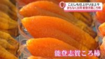 贈答品で人気｢能登志賀ころ柿｣　石川の産地で出荷準備進む　課題は高齢化や担い手不足｢ころ柿を守っていきたい｣