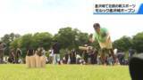 「石川・金沢城公園でモルックの大会開催　多くの愛好家でにぎわう」の画像1