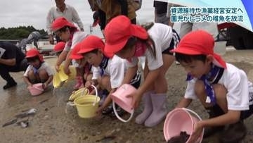 ヒラメの稚魚4000匹　石川・七尾市の保育園児が放流　海洋資源の維持へ