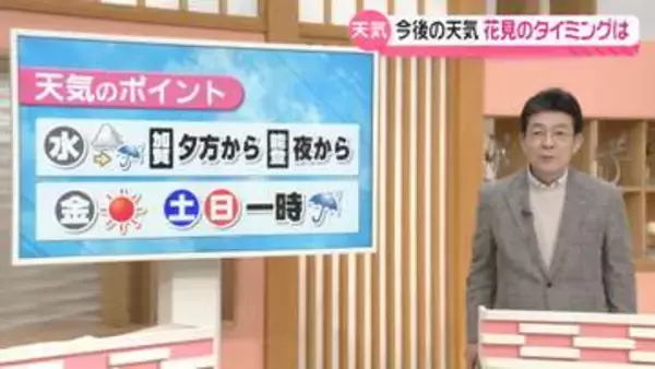 【お天気どうなる】雨は夜に一旦止むも1日再び　3日は“花見日和”　週末はまた雨空に