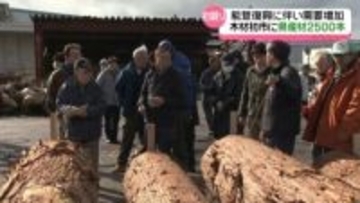 能登復興で木材需要増える　金沢で石川県産材の初市　去年より1割多い2500本並ぶ