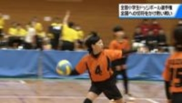 全国への切符をかけ　全国小学生ドッジボール選手権石川県大会