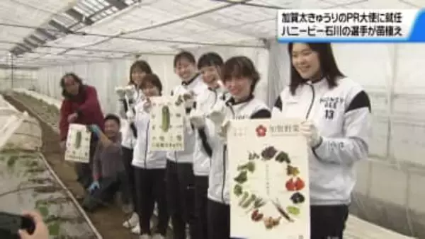 チームカラーの“緑”が縁　ハンドのハニービー石川　｢加賀太きゅうり｣PR大使就任で苗植え体験